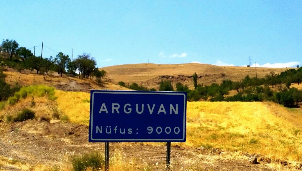 arguvan